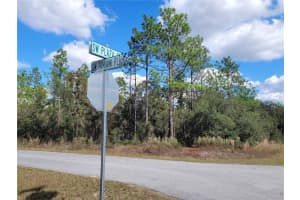 0 SW TAMIAMI PL, DUNNELLON, FL 34431 - MLS#MFROM668163