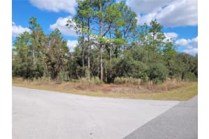 0 SW TAMIAMI PL, DUNNELLON, FL 34431 - MLS#MFROM668163