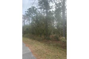 0 PECAN, OCALA, FL 34472 - MLS#MFROM668462