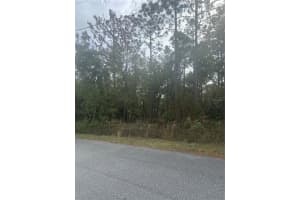 0 PECAN, OCALA, FL 34472 - MLS#MFROM668462