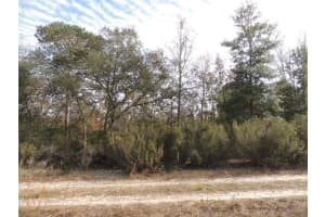 6691 112TH AVENUE, WILLISTON, FL 32696 - MLS#MFROM669134