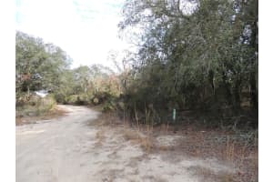6691 112TH AVENUE, WILLISTON, FL 32696 - MLS#MFROM669134