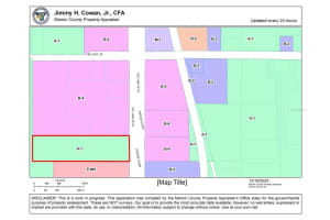 16684 and 16690 S US HIGHWAY 301, SUMMERFIELD, FL 34491 - MLS#MFROM669526