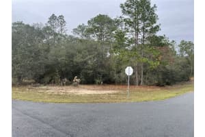 11290 KENNEY LOOP, CITRUS SPRINGS, FL 34433 - MLS#MFROM670092