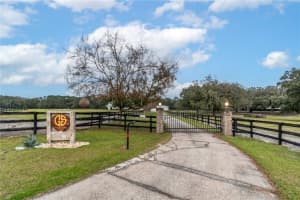 19611 15TH PLACE, MORRISTON, FL 32668 Sold 10/15/25