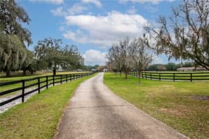 19611 15TH PLACE, MORRISTON, FL 32668 Sold 10/15/25