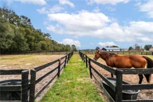 19611 15TH PLACE, MORRISTON, FL 32668 Sold 10/15/25