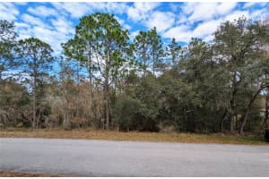 SW 211TH CIR, DUNNELLON, FL 34431 Sold 11/15/24