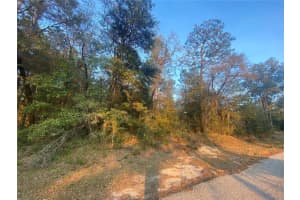 Lot 28 206 CIRCLE, DUNNELLON, FL 34431 - MLS#MFROM672236