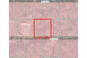 00 158TH STREET, FORT MC COY, FL 32134 - MLS#MFROM672447
