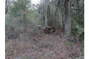 00000 213 PLACE, FORT MC COY, FL 32134 Sold 08/18/25