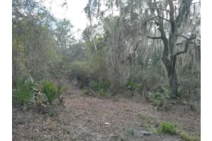 00000 213 PLACE, FORT MC COY, FL 32134 Sold 08/18/25