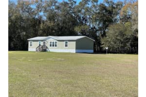 19591 LEVY STREET, WILLISTON, FL 32696 Sold 03/31/25