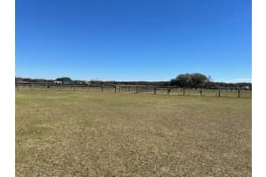 19591 LEVY STREET, WILLISTON, FL 32696 Sold 03/31/25