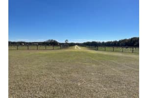 19591 LEVY STREET, WILLISTON, FL 32696 Sold 03/31/25