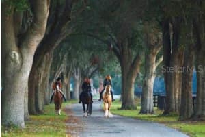 0 116TH PLACE, OCALA, FL 34480 Sold 12/18/24