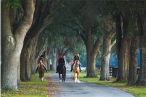 o 116TH PLACE, OCALA, FL 34480 Sold 12/03/24