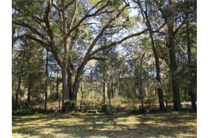 14780 112TH CIRCLE, DUNNELLON, FL 34432 Sold 04/26/24