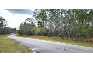LOT 12 SW 152ND ST, OCALA, FL 34473 Sold 11/17/24