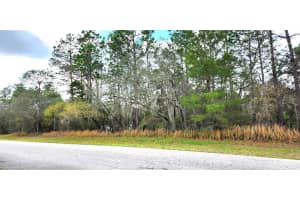 LOT 12 SW 152ND ST, OCALA, FL 34473 Sold 11/17/24