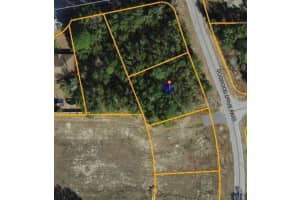 000 DOGWOOD DRIVE PASS, OCALA, FL 34472 Sold 09/28/24