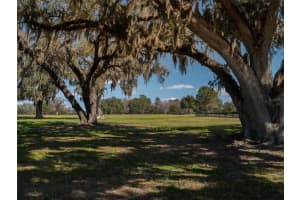 11959 NW HIGHWAY 464B, OCALA, FL 34482 Sold 11/26/24