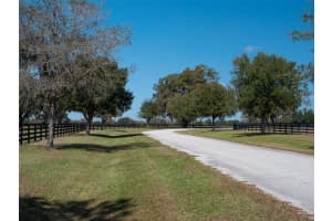 11959 NW HIGHWAY 464B, OCALA, FL 34482 Sold 11/26/24
