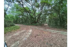 TBD 157TH AVENUE, OCALA, FL 34481 Sold 11/04/24