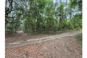 TBD 157TH AVENUE, OCALA, FL 34481 Sold 11/04/24