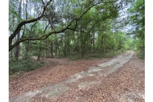 TBD 157TH AVENUE, OCALA, FL 34481 Sold 11/04/24