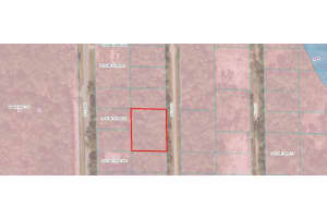 TBD 110 COURT, FORT MC COY, FL 32134 - MLS#MFROM676134