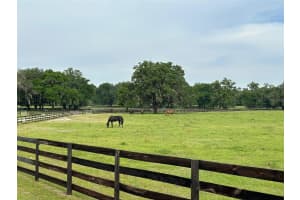 4101 89TH PLACE, OCALA, FL 34482 - MLS#MFROM676140