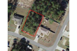 SW 159TH ST, OCALA, FL 34473 Sold 11/14/24