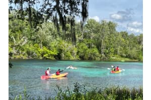 4560 25TH LOOP, OCALA, FL 34480 Sold 02/12/25