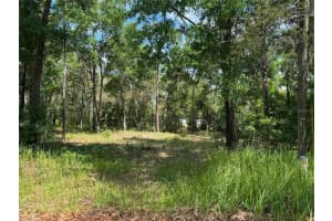 TBD PINE WAY COURT, OCALA, FL 34472 - MLS#MFROM676601