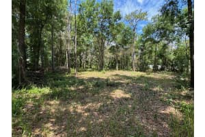 TBD PINE WAY COURT, OCALA, FL 34472 - MLS#MFROM676601