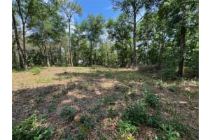 TBD PINE WAY COURT, OCALA, FL 34472 - MLS#MFROM676601