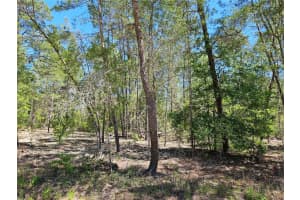 851 145TH COURT, WILLISTON, FL 32696 Sold 05/01/25
