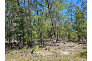 851 145TH COURT, WILLISTON, FL 32696 Sold 05/01/25