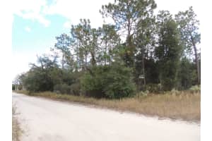 12910 12TH STREET, WILLISTON, FL 32696 Sold 11/05/24