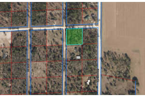 12910 12TH STREET, WILLISTON, FL 32696 Sold 11/05/24
