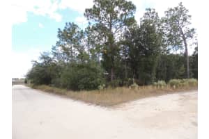 12910 12TH STREET, WILLISTON, FL 32696 Sold 11/05/24