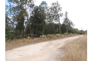 12910 12TH STREET, WILLISTON, FL 32696 Sold 11/05/24