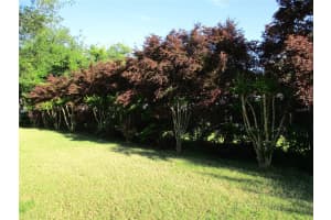 11628 137TH LOOP, DUNNELLON, FL 34432 Sold 11/26/24