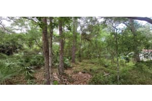 0 NE 153RD STREET, FORT MC COY, FL 32134 - MLS#MFROM677053