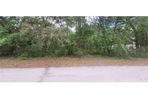 0 NE 153RD STREET, FORT MC COY, FL 32134 - MLS#MFROM677053