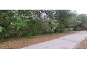0 NE 153RD STREET, FORT MC COY, FL 32134 - MLS#MFROM677053