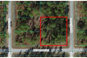 0 Treetop Rd, DUNNELLON