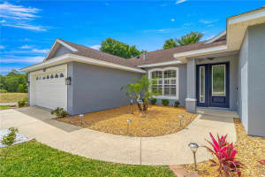 33202 IRONGATE DRIVE, LEESBURG, FL 34788 Sold 06/27/24