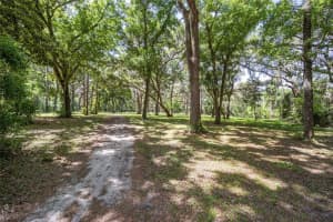 4850 11TH AVENUE, OCALA, FL 34480 - MLS#MFROM677365